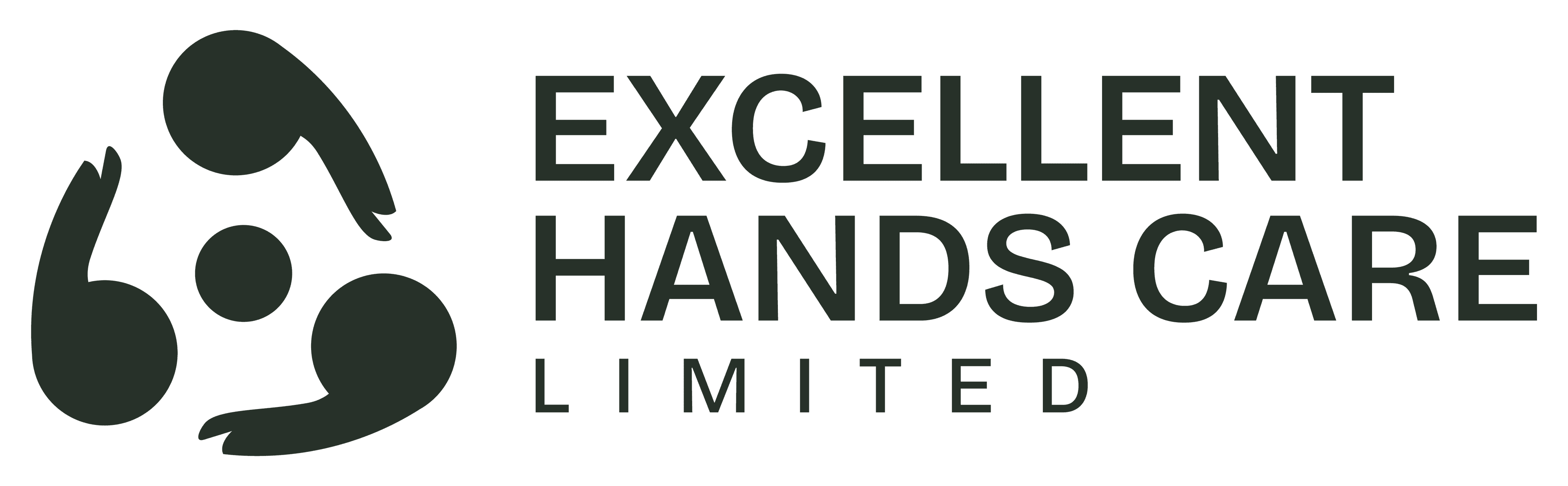 Excellent Hands Care LTD Asset 2