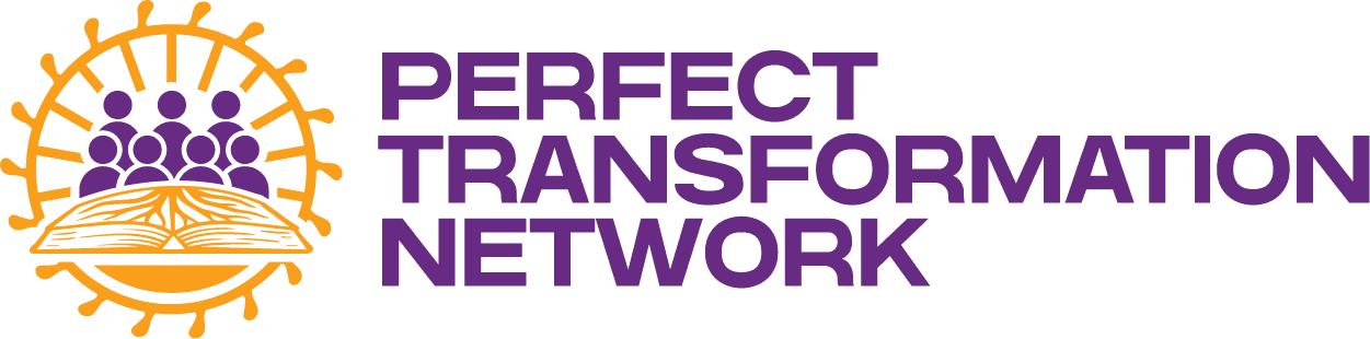 Perfect Transformation Network Asset 2